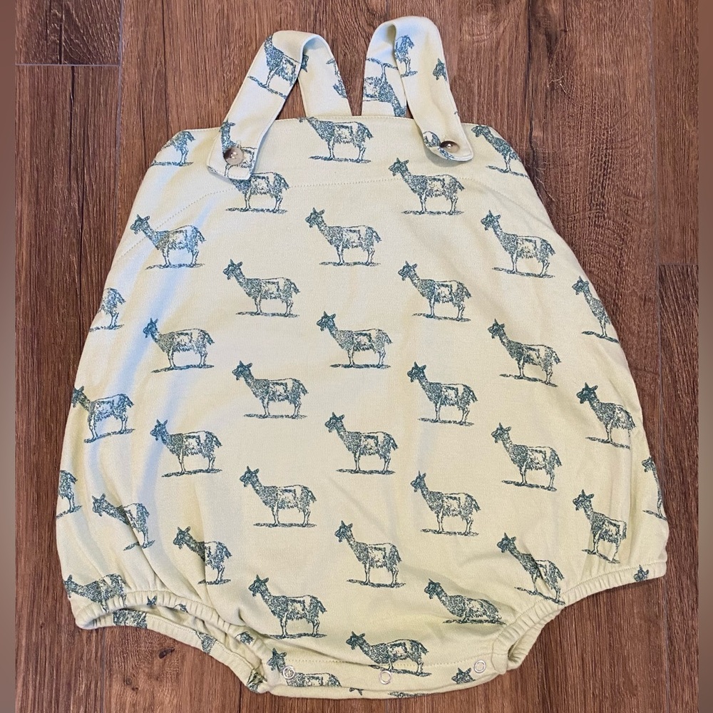 EUC Kate Quinn goat bubble